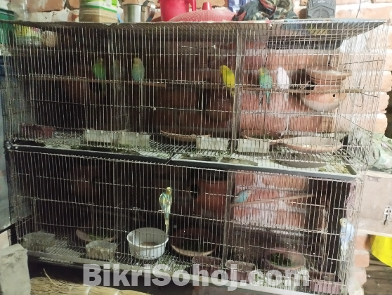 পাখির খাঁচা